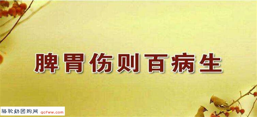 为什么脾胃不好的人更应补充益生菌？