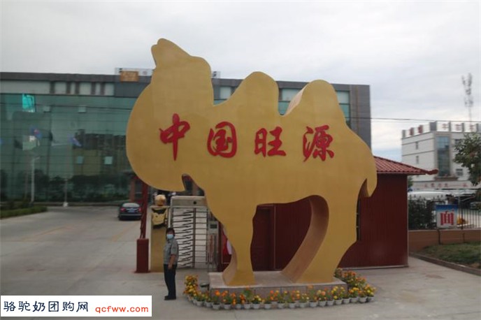 华人号:走进新疆旺源生物科技集团了解驼奶产业发展销售战略现状与未来—“追梦中华大美新疆”海外华文媒体采访见闻