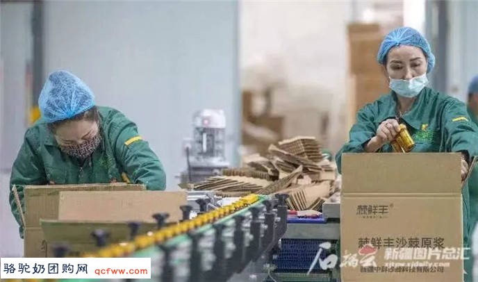 凭实力出圈！一批“疆”字号深加工农产品走向全国市场