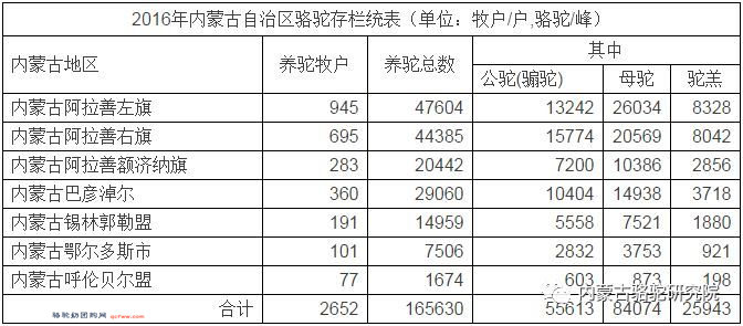 在中国境内，双峰骆驼究