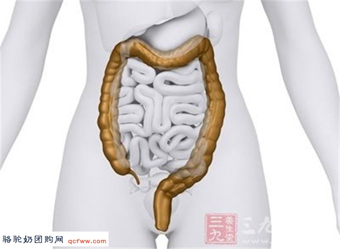 骆驼奶团购网为您提供：您的肠道以及肠道强大的自愈能力您了解吗？