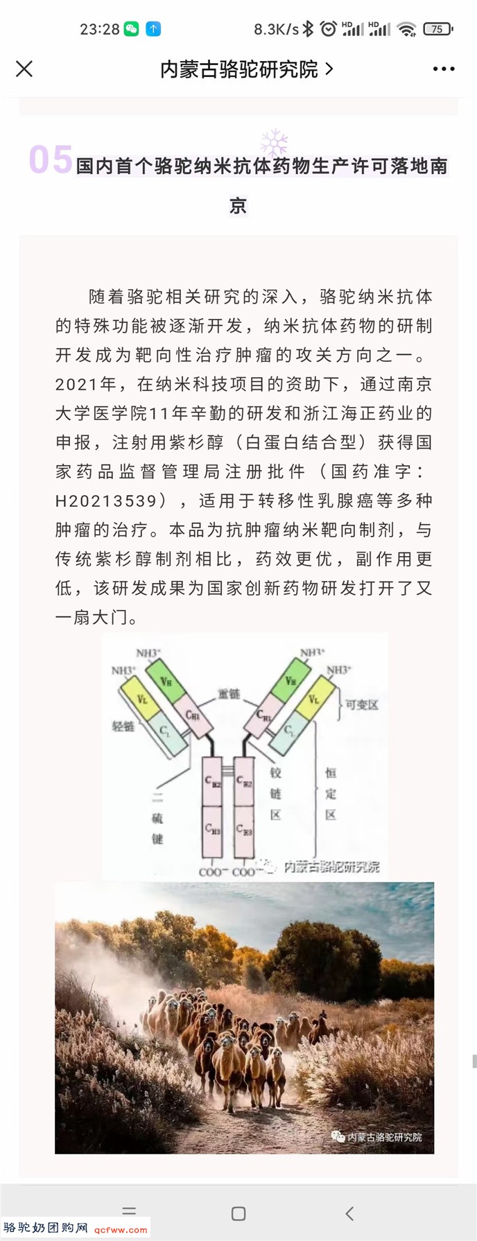 骆驼奶团购网为您提供：中国骆驼产业划时代的新闻-国内首个骆驼纳米抗体药物生产许可落地南京