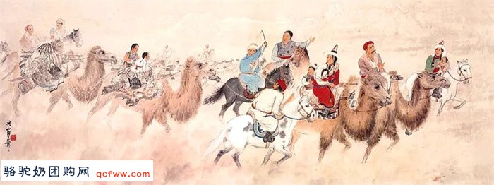 骆驼奶——游牧民族赖